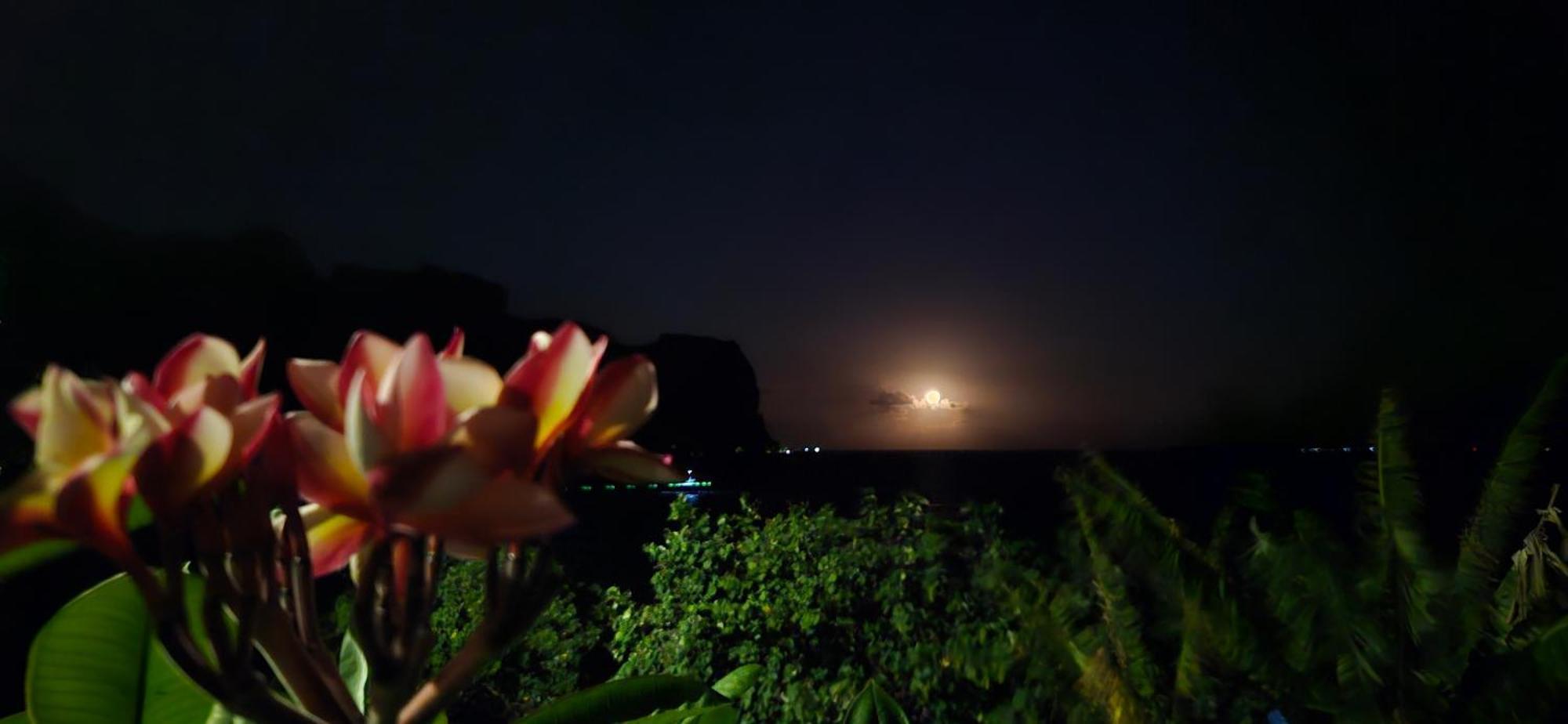 Taria Camping Otel Te-Fare-Arii Dış mekan fotoğraf