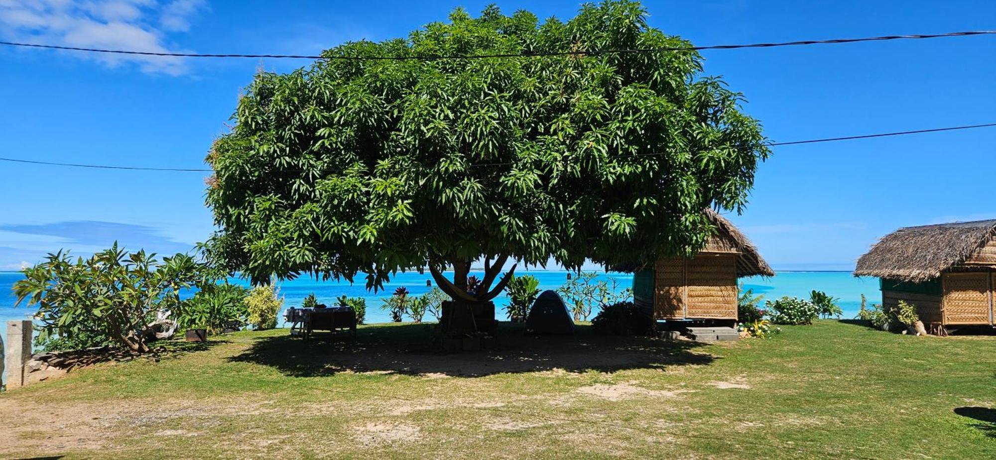 Taria Camping Otel Te-Fare-Arii Dış mekan fotoğraf