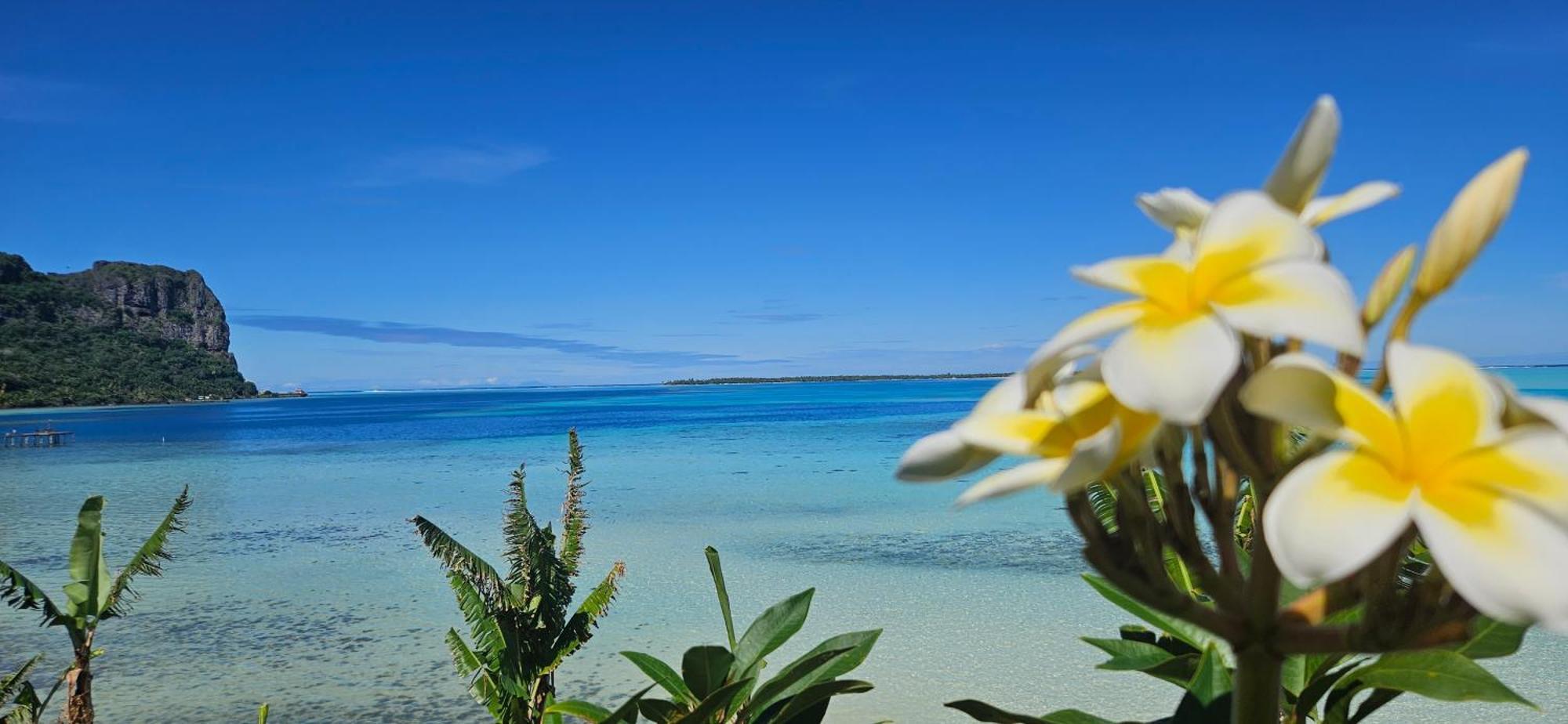 Taria Camping Otel Te-Fare-Arii Dış mekan fotoğraf